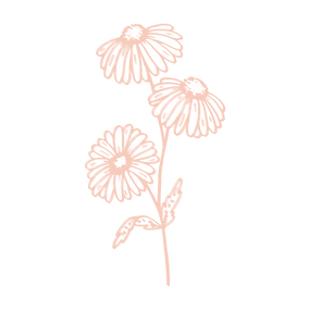 gut support - chamomile.png