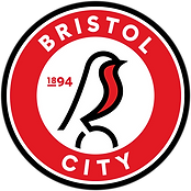 Bristol_City_crest.svg (1).png