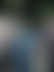 Le Figaro Magazine - Ces hommes de l'ombre qui infiltrent le régime iranien