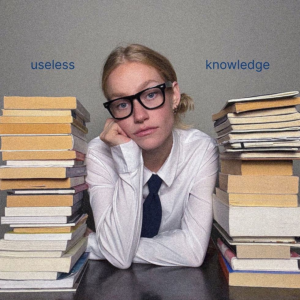"Useless Knowledge" by Amy Pinkus cover art