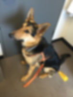 IMG_0666.jpeg
