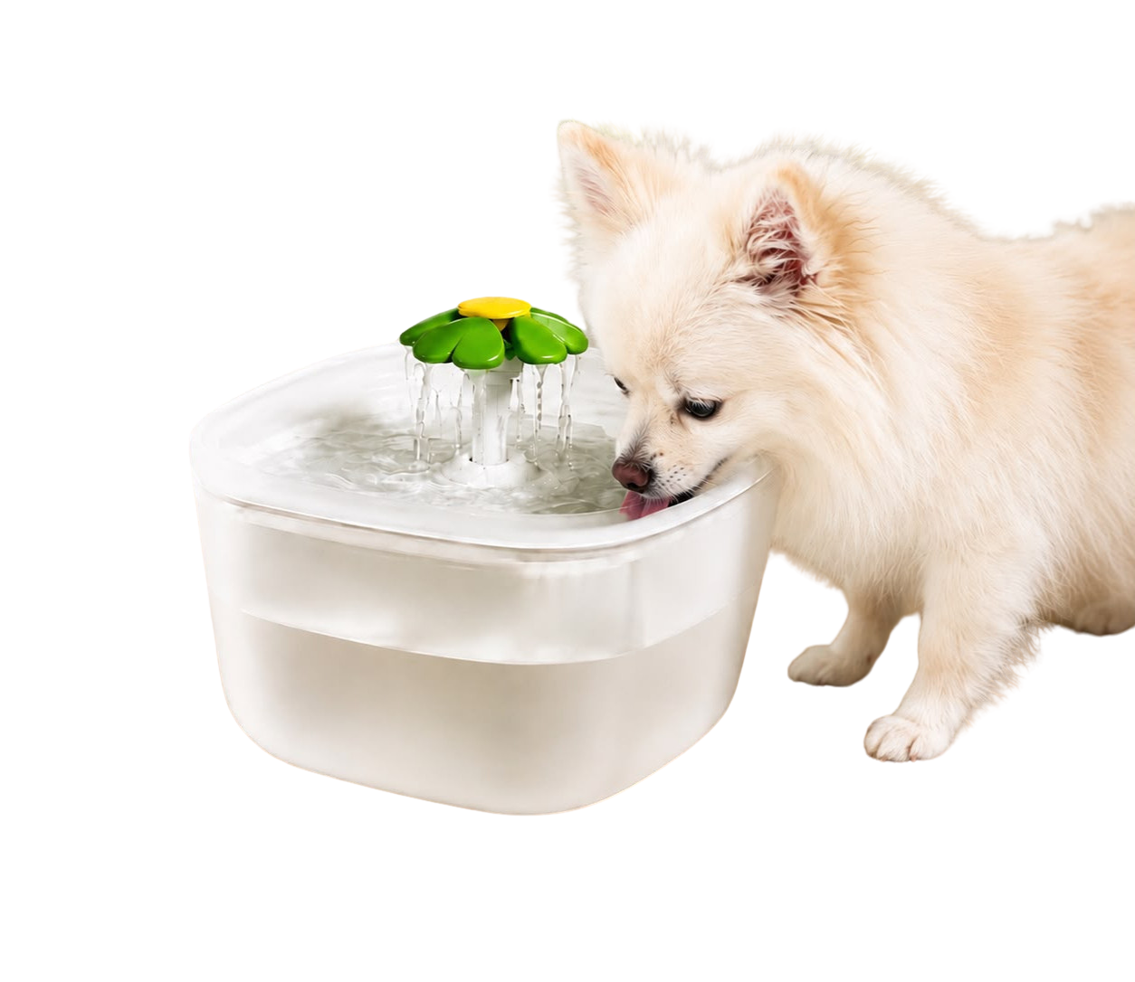 Water Fountain Automatic Pet Water Fountain for Drinking with Light2L