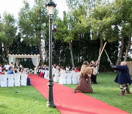 Lucha medieval en boda