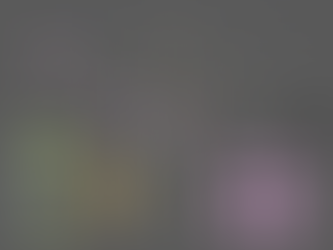 둥근 경찰과 둥근 도둑R(Update 4)