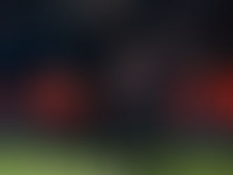 Edin Terzic linked with possible English job