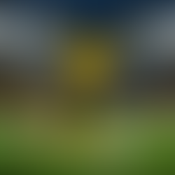 BVB's Transfer Window - Potential Options