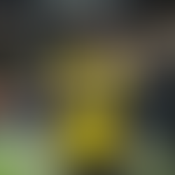BVB's Transfer Window - Exits