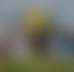 Dortmund 7 - 0 Rhynern Game Recap