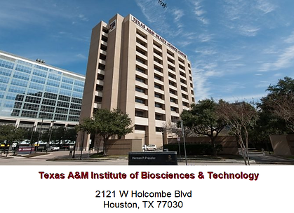 IBT-04.png