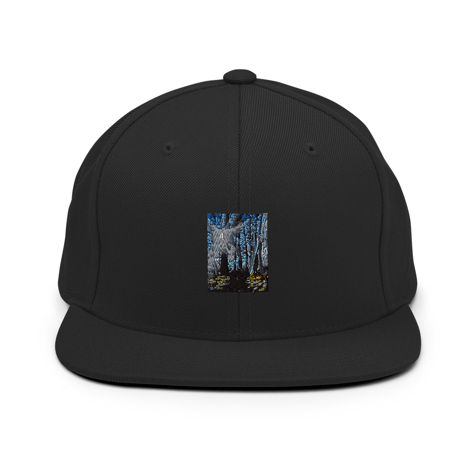 תמונה ממוזערת: Classic Snapback | Yupoong 6089M