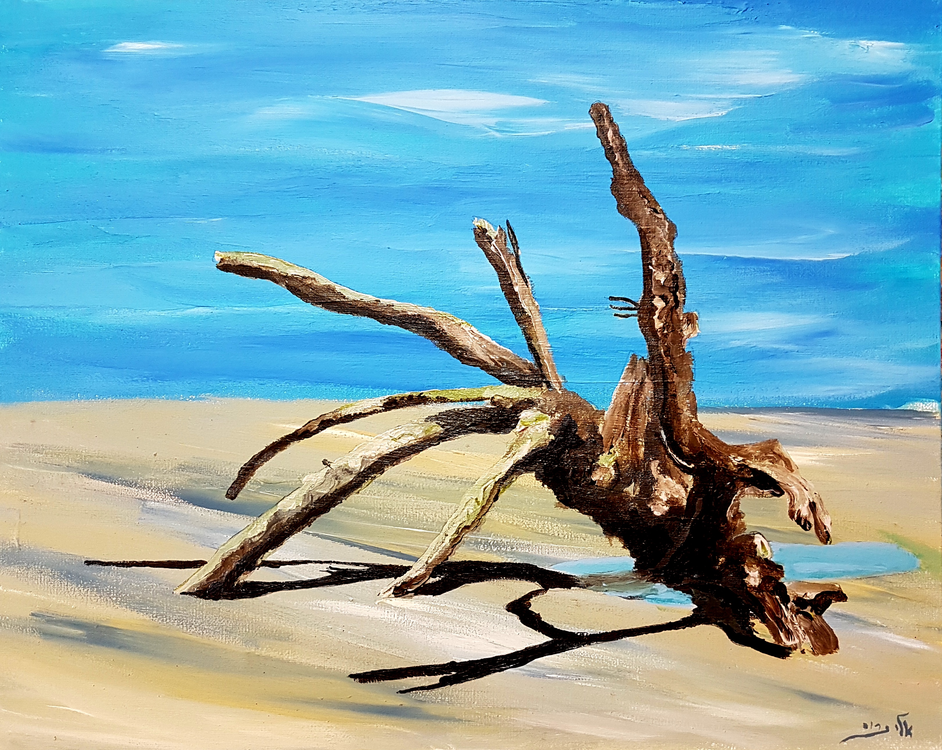 the swept away tree stands at low tide, in a gushy sand