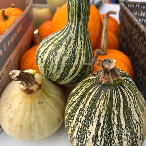 It's Time to Visit the Denver Farmers Market!
