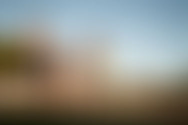 Bears Shine Against Elite Competition at Dragon Twilight Meet