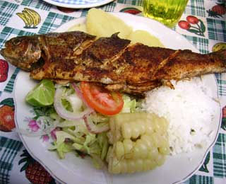 Trucha con Arroz y Ensalada