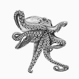 chloe.celestina82@gmail.com