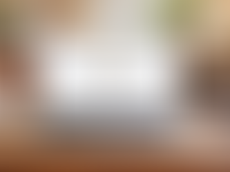 Sunshine Watch co. on a laptop computer