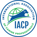 IACP 2024 logo