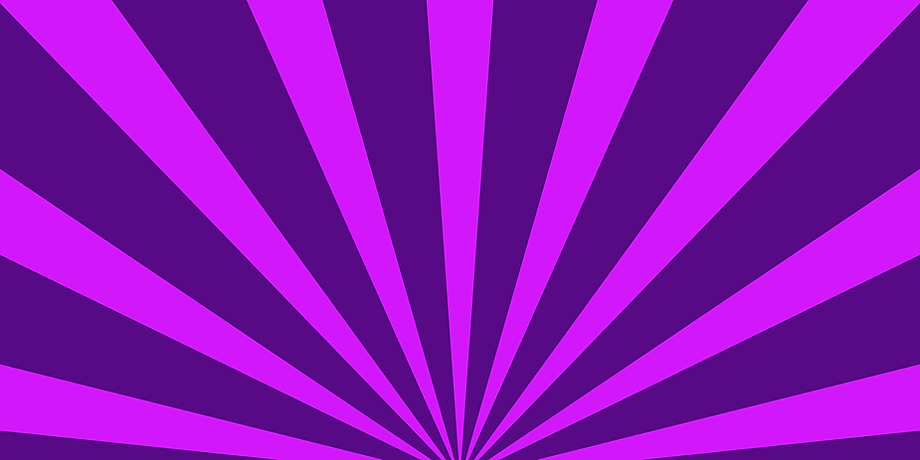 stunt dog show, trick dog show, frisbee dog show, got talent dogs, midwest stunt dog show