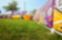 stunt dog show, trick dog show, frisbee dog show, got talent dogs, midwest stunt dog show