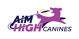 hire a dog show, stunt dog show, hire dog entertainment, frisbee dog show, trick dog show