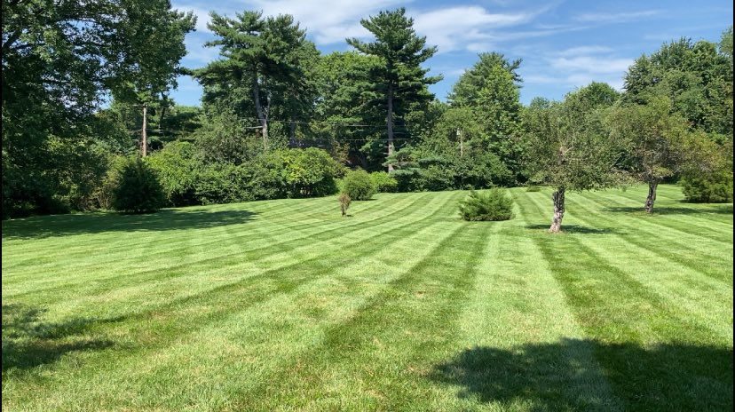 Lawncare1.jpg