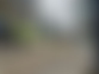 Concerns Raised Over Treatment of Media During Police Operation in Rochdale