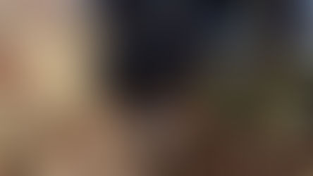 Business Appeal: Support Needed to Help Restore Lodge Mill