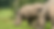 Amara has been housed with her mother Meru during recovery | Knowsley Safari