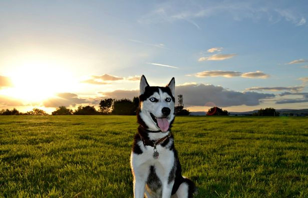 Alaska retired from her modelling career in 2019 but still loves the camera (Image: Mark Carter)
