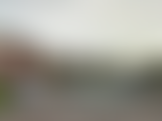 Woman beaten unconscious and left in garden in Manchester