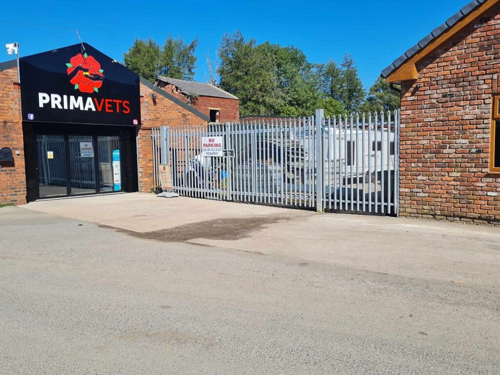 Owner Raises Concerns Over Veterinary Care Following Rapid Decline of Siberian Husky