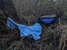 Body of neglected dog in 'appalling condition' found hidden behind tree in suitcase