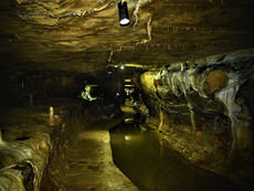 Family Adventure in the Yorkshire Dales: An Ingleborough Cave Family Itinerary