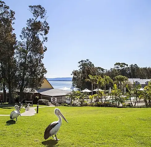 Raffertys Resort.webp