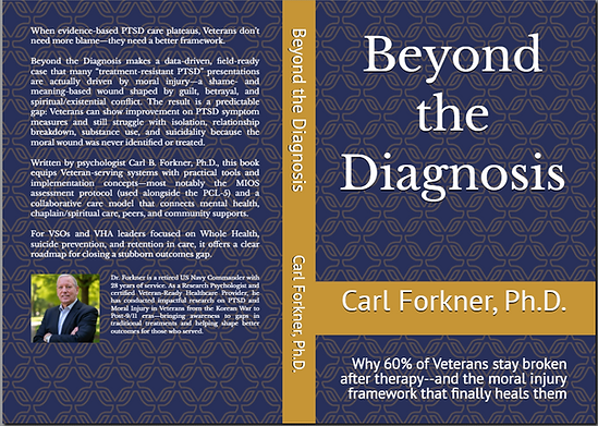 Book cover - soft and hard versions.png