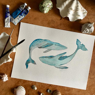 Ballenas bailando