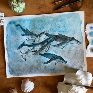 Whales travelling