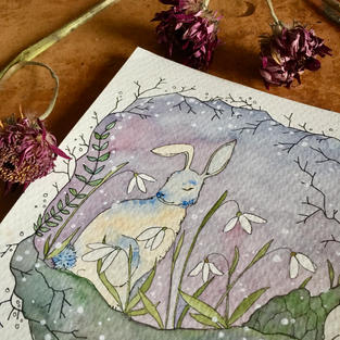 Liebre y campanilla de las nieves (febrero - Calendario 2021)
