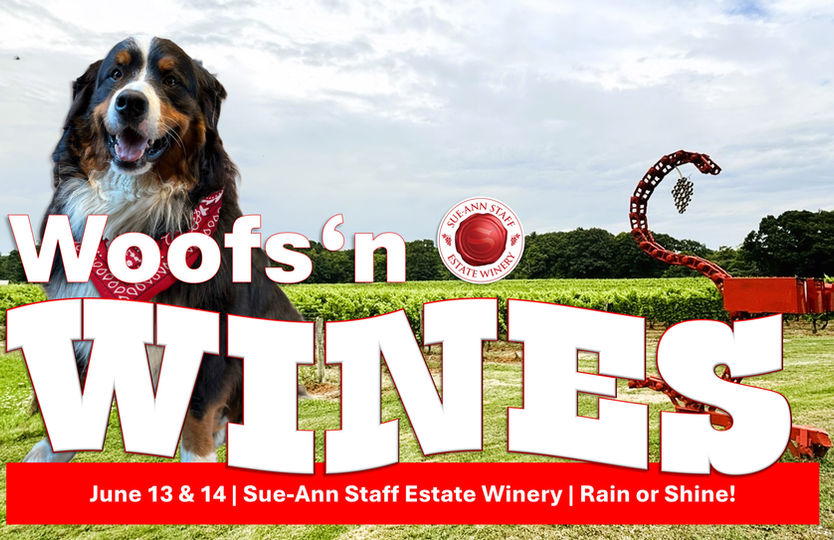 Woofs 'n Wines: Free Dog-Friendly Winery Event at Sue-Ann Staff