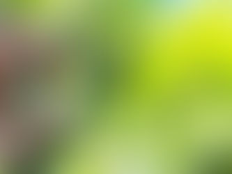 ¿Por qué hay personas que no tienen muelas del juicio?