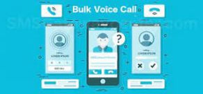 bulk voice call and are its fundamental capacities
