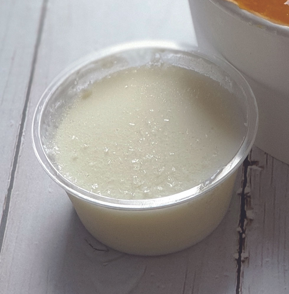 냉동_요거트소스15