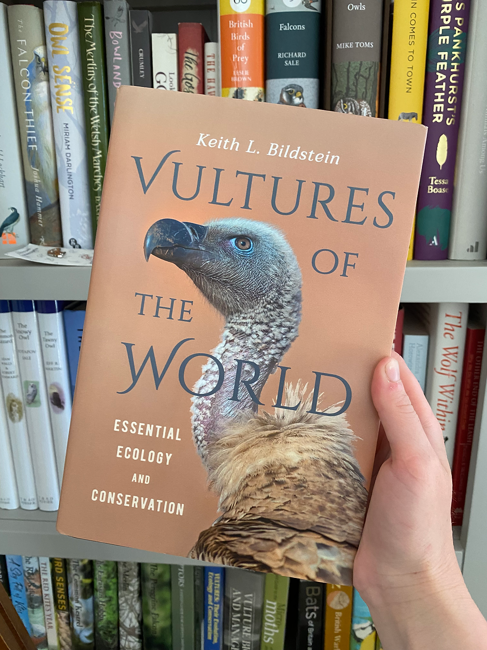 Raptor Reads: 'Vultures of the World' by Keith L. Bildstein