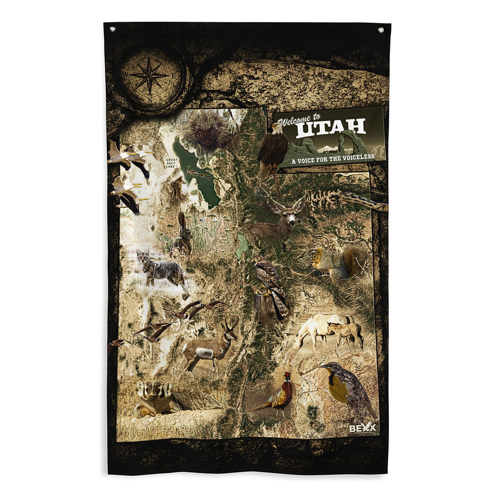 Thumbnail: Bexx Photography - Utah A Voice For The Voiceless (Flag)