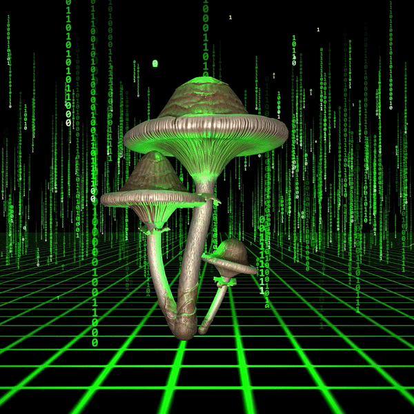 ezgif.com-gif-maker.gif
