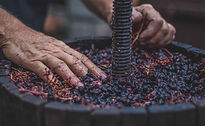Process of winemaking
