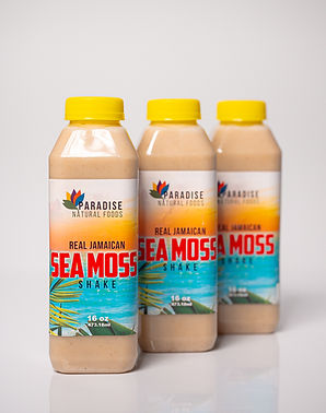 Sea Moss, Paradise, Q4 2025 Catalog – Web Version (94 of 98).jpg