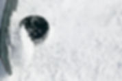 Eishockey Schläger und Puck