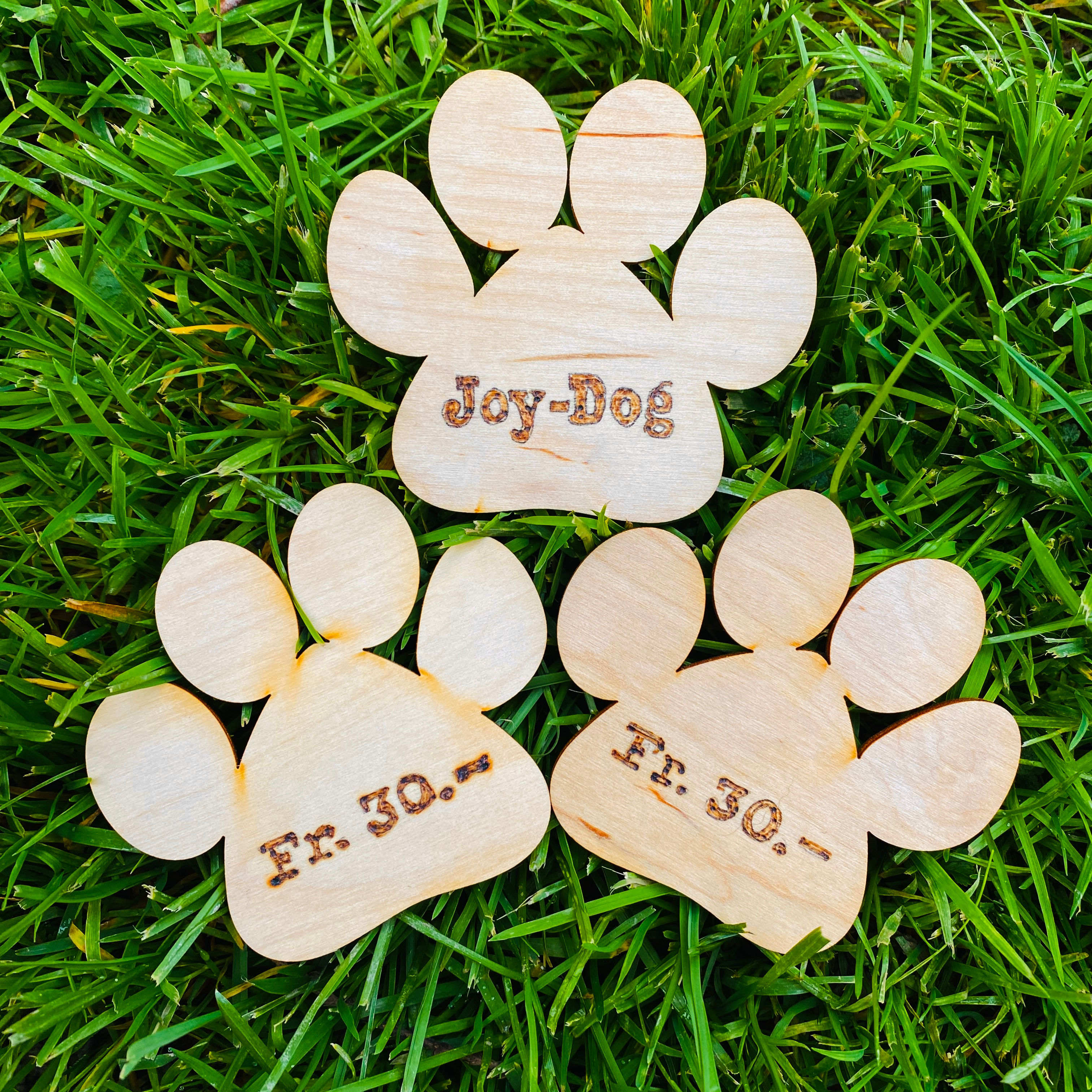 CHF 60.00 Joy-Dog Gutschein