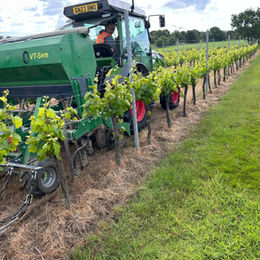 Green tractor drilling in between rows of vines